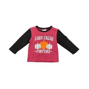 Farm Fresh Pumpkins Long Sleeve Toddler Boys Shirt 6-12 Months